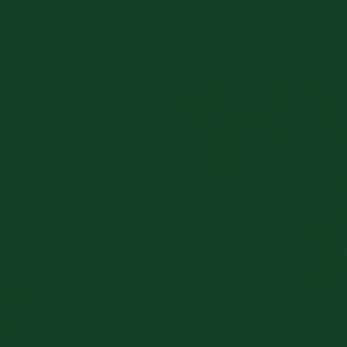 Rust-Oleum 7538838 Professional High Performance Enamel Spray Paint, 15 Oz, Gloss Hunter Green