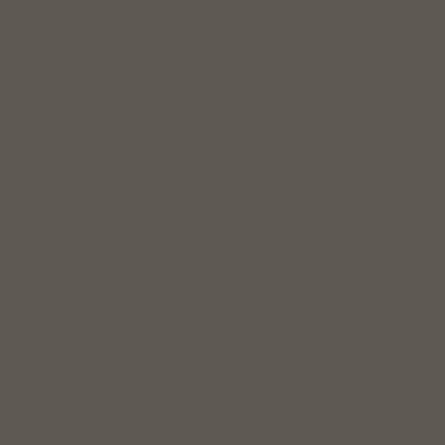 12 oz Krylon K05599007 Machinery Gray COLORmaxx Paint & Primer Spray Paint, Gloss