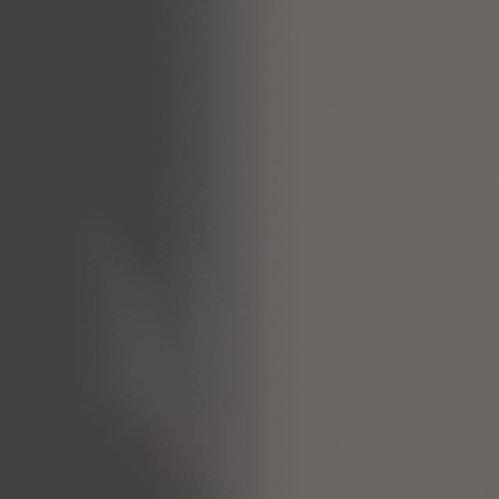 Rust-Oleum 244228 Stops Rust Metallic Spray Paint, 11 oz, Charcoal (Pack of 1)