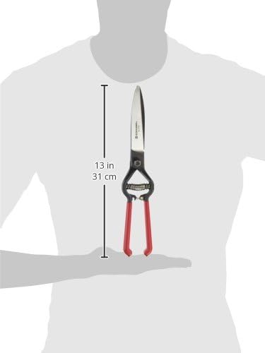 Corona GS 6750D ClassicCUT Grass Shear, Natural, 4-1/2 inch