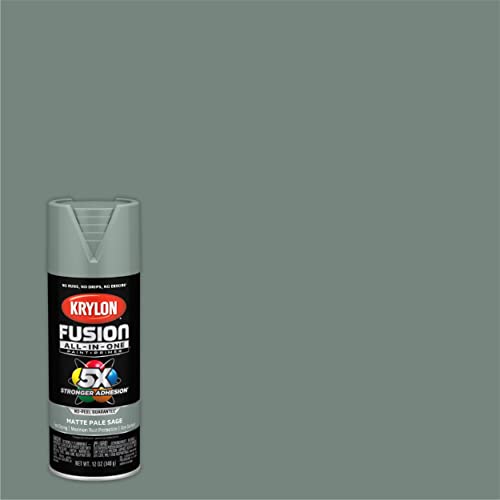 Krylon Fusion All-In-One Adhesive Spray Paint for Indoor/Outdoor Use, 12 oz, Pale Sage