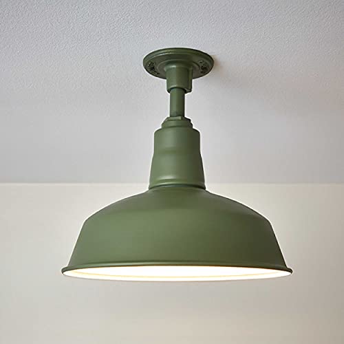 12 oz Krylon K05566007 Italian Olive COLORmaxx Paint & Primer Spray Paint, Satin