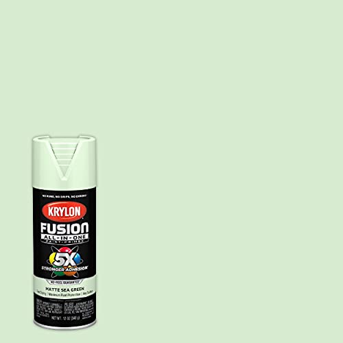 Krylon Fusion All-In-One Adhesive Spray Paint for Indoor/Outdoor Use, 12 oz, Sea Green