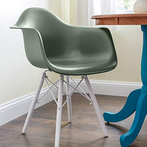 Krylon Fusion All-In-One Adhesive Spray Paint for Indoor/Outdoor Use, 12 oz, Spanish Moss