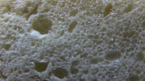 Red Devil 0913 Foam & Fill Small Gaps & Cracks Expanding Polyurethane Sealant, 12 oz, Off-White, Pack of 1