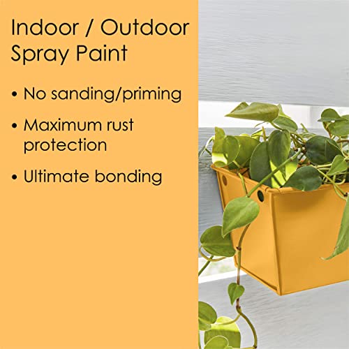 Krylon Fusion All-In-One Adhesive Spray Paint for Indoor/Outdoor Use, 12 oz, Wild Honey