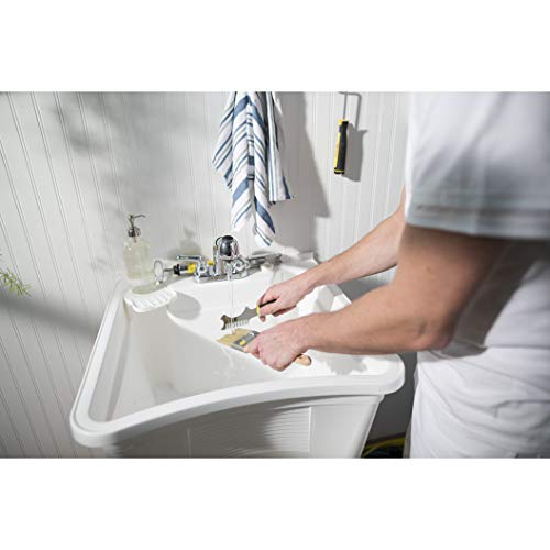 Thompson's Water Seal Purdy Contractor Brush & Roller Cleaner Brush & Roller Cleaner