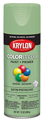 Krylon K05575007 COLORmaxx Spray Paint and Primer for Indoor/Outdoor Use, Satin Pistachio 12 oz