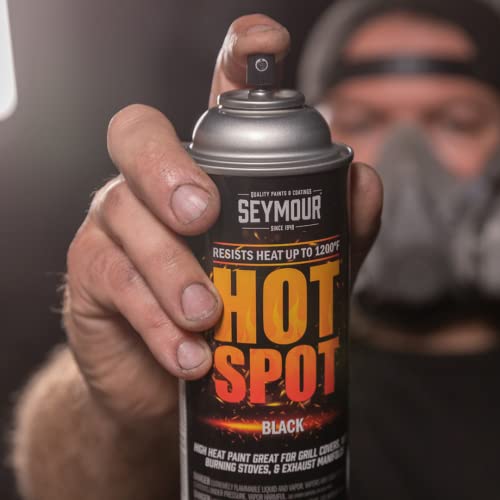 Seymour 16-1202 Hot Spot High Temperature Paints, White
