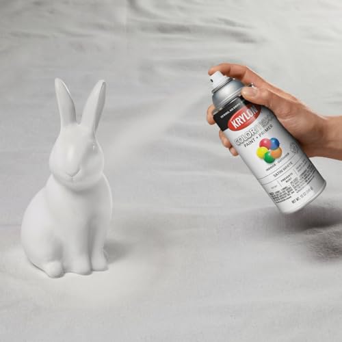 12 oz Krylon K05577007 White COLORmaxx Paint & Primer Spray Paint, Satin