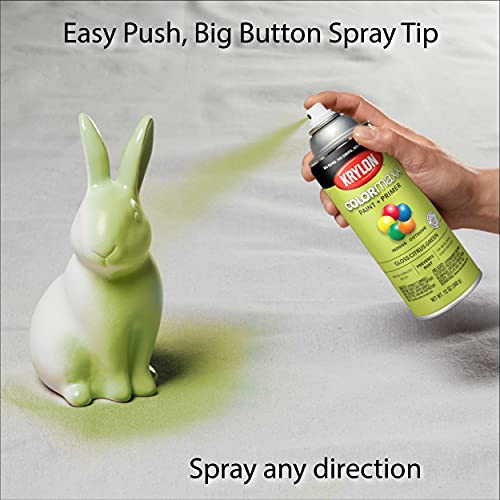 12 oz Krylon K05512007 Citrus Green COLORmaxx Paint & Primer Spray Paint, Gloss