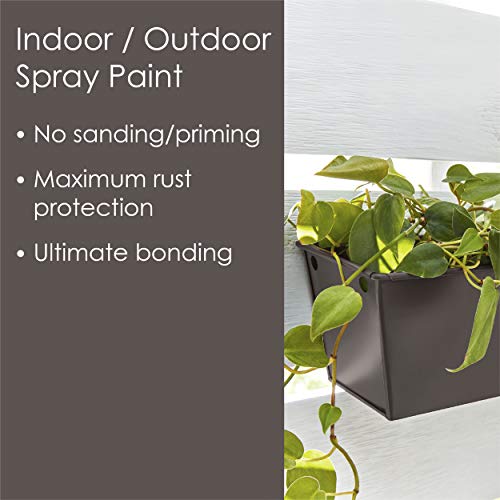 Krylon Fusion All-In-One Adhesive Spray Paint for Indoor/Outdoor Use, 12 oz, Otter Browm