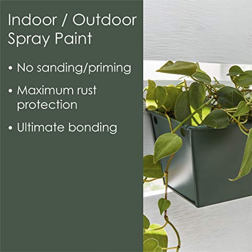 Krylon Fusion All-In-One Adhesive Spray Paint for Indoor/Outdoor Use, 12 oz, Spanish Moss