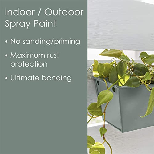 Krylon Fusion All-In-One Adhesive Spray Paint for Indoor/Outdoor Use, 12 oz, Pale Sage