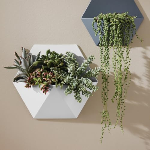 12 oz Krylon K05577007 White COLORmaxx Paint & Primer Spray Paint, Satin