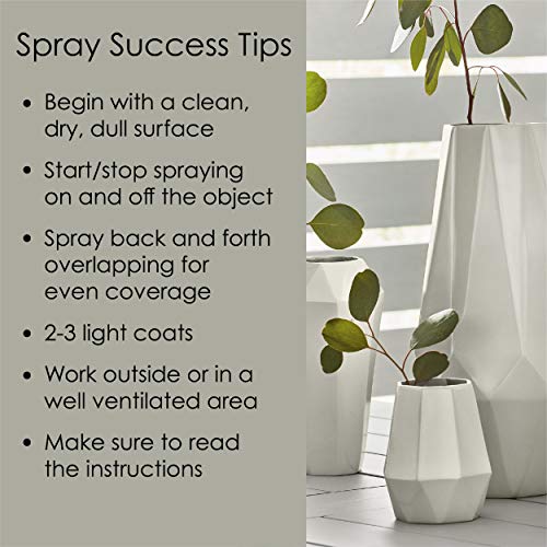 12 oz Krylon K02721007 River Rock Fusion All-In-One Paint & Primer Spray Paint, Gloss