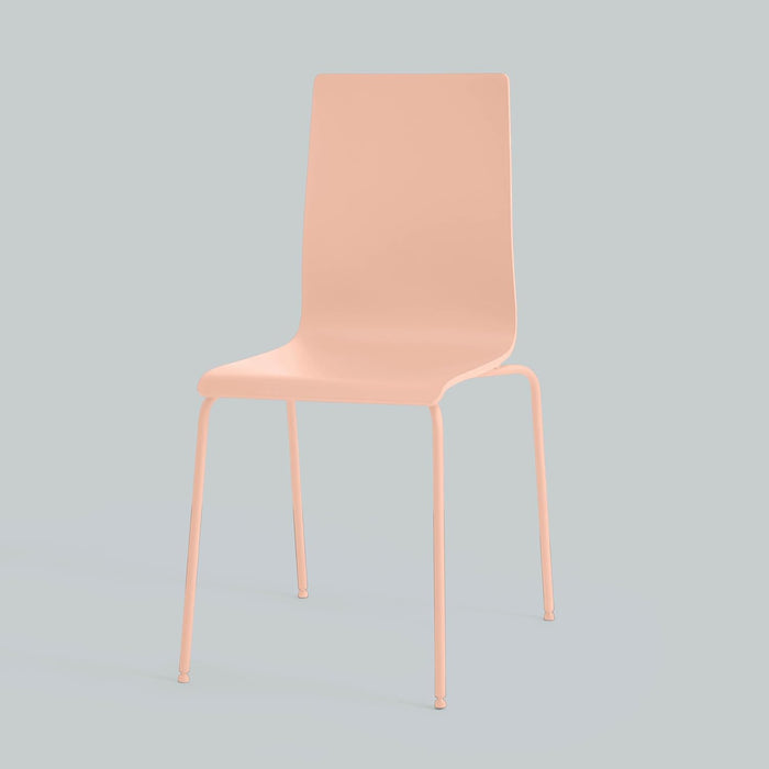 Rust-Oleum 355035 Painter's Touch 2X Ultra Cover Spray Paint, 12 oz, Ultra Matte Rustic Pink (Pack of 6)