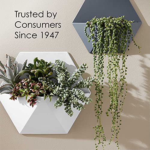 1/2 pt Krylon K05613007 Black COLORmaxx Paint & Primer, Satin