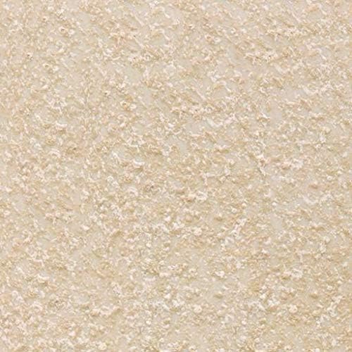 Rust-Oleum 7990830 Stone Creations Spray, 12 oz, Bleached Stone (Pack of 1)