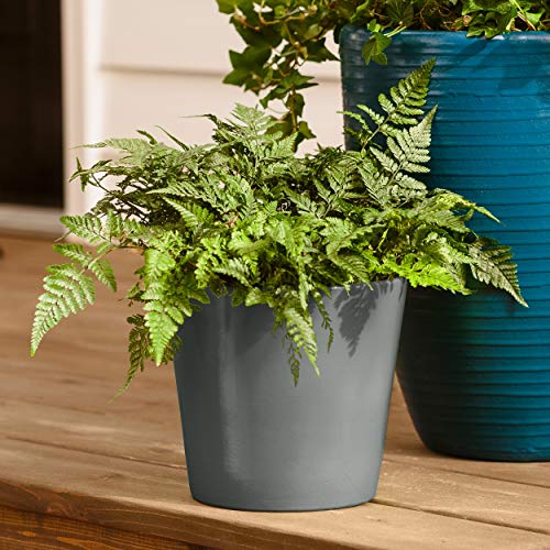 12 oz Krylon K02723007 Smoke Gray Fusion All-In-One Paint & Primer Spray Paint, Gloss