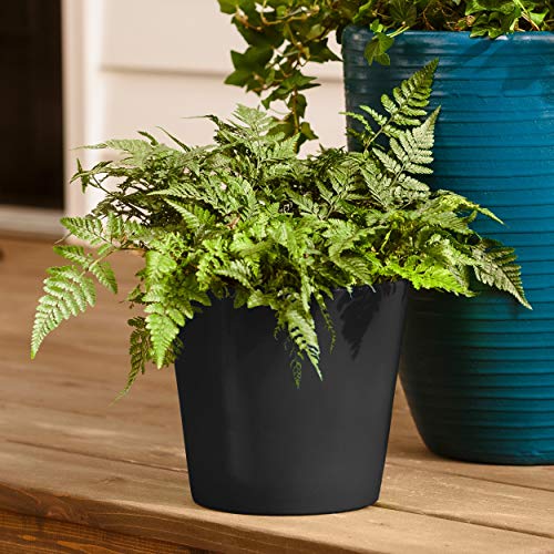 12 oz Krylon K02702007 Black Fusion All-In-One Paint & Primer Spray Paint, Gloss