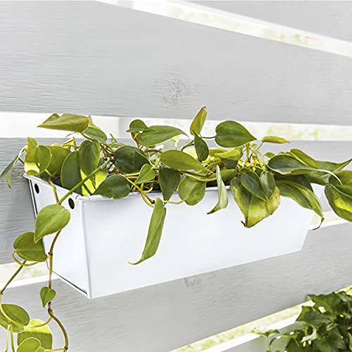 Krylon Fusion All-In-One Adhesive Spray Paint for Indoor/Outdoor Use, 12 oz, Bright White