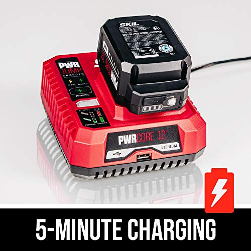 SKIL PWRCORE 20️ Brushless 20V Reciprocating Saw Kit