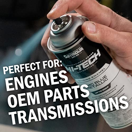 Seymour EN-41 Hi-Tech Engine Spray Paint, Chrome Aluminum 12 Ounce (Pack of 1)