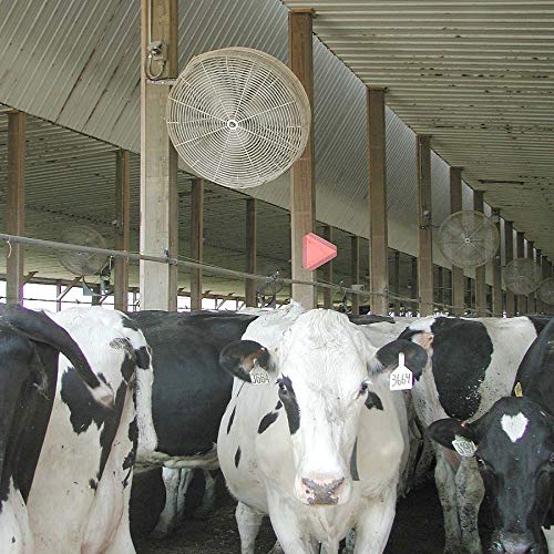 Schaefer 36DF Single Phase Direct Flow Agriculture 36� Wall Mounted Circulating High Velocity Fan w/T-shaped Mount - 1/2 HP, 13140CFM - Made in USA