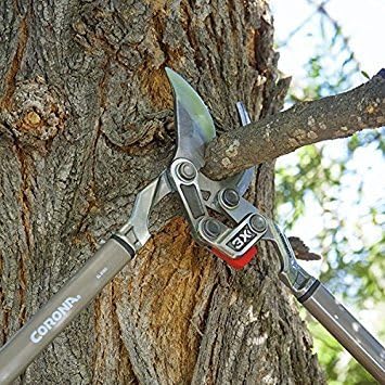 Corona Tools SL8180D 33-inch Branch Cutter DualLINK MAXFORGED Bypass Loppers, Tree Trimmer Cuts Branches up to 2-inches in Diameter