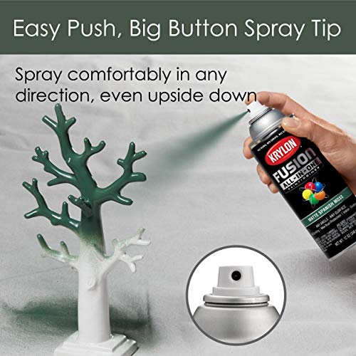 Krylon Fusion All-In-One Adhesive Spray Paint for Indoor/Outdoor Use, 12 oz, Spanish Moss