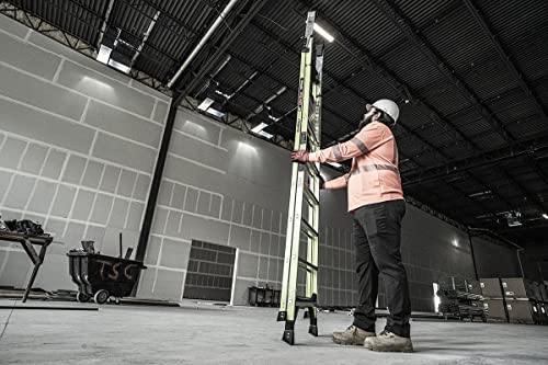 Fortress, 6' Model - ANSI Type IAA - 375 lb Rated, Fiberglass Platform Ladder with Ground CUE, Wraparound Enclosure, and Auto-Closing Gate