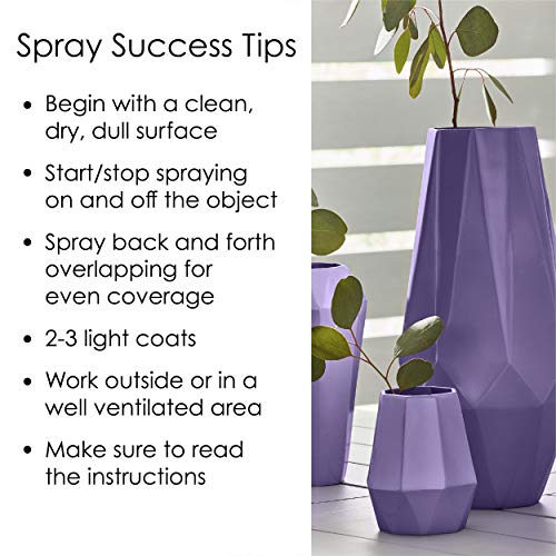 Krylon Fusion All-In-One Adhesive Spray Paint for Indoor/Outdoor Use, 12 oz, Clear