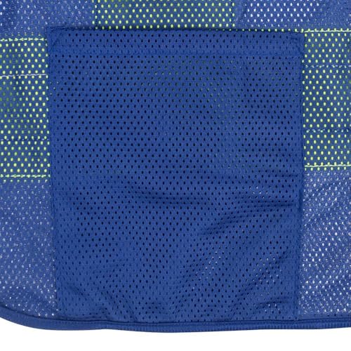 Radians SV22-1 Economy Type O Class 1 Safety Vest, Blue, X-Large