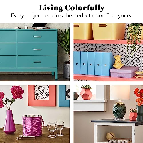 Krylon Farm & Implement Paint Aerosol Troy Bilt Red 12 Fl Oz (Pack of 1)