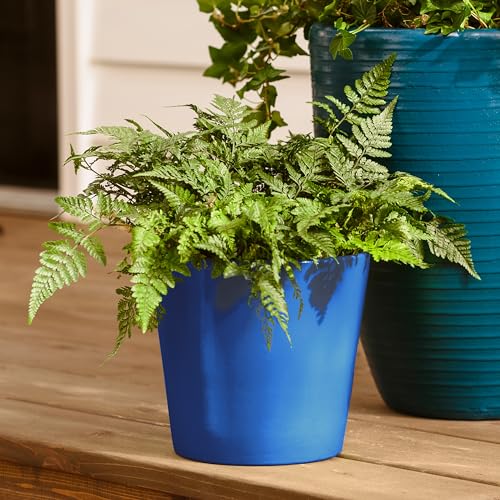 12 oz Krylon K02716007 Patriotic Blue Fusion All-In-One Paint & Primer Spray Paint, Gloss