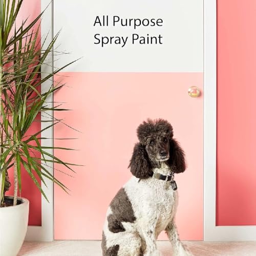 Krylon 12 oz K05582007 Gray COLORmaxx Paint & Primer Spray Paint, Primer