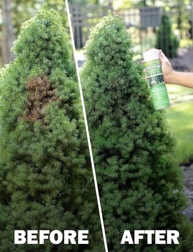 Seymour RENEW Grass and Shrub (Pristine). 1 - 17oz. Can.