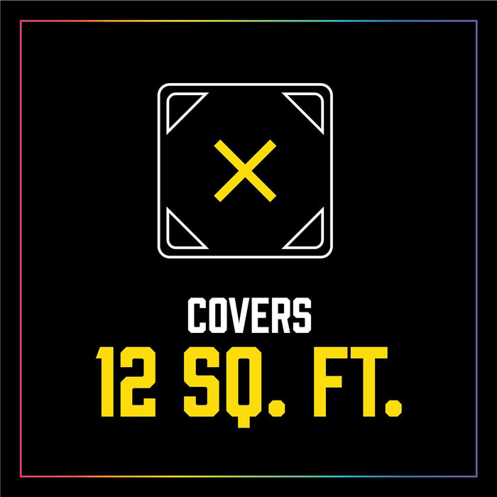 Seymour Paint 11-10 Fresh-N-Quick Multi-Purpose Spray Enamel, Flat Black