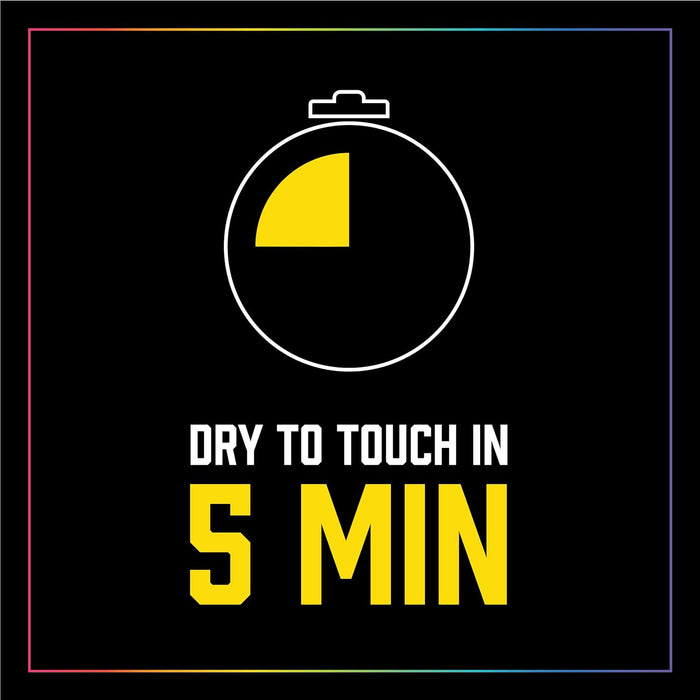 Seymour Paint 11-10 Fresh-N-Quick Multi-Purpose Spray Enamel, Flat Black