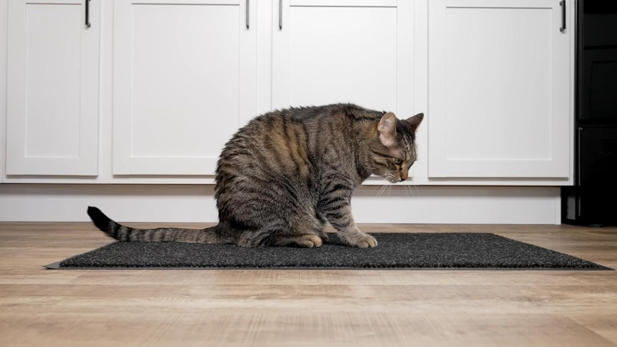 Notrax - 136S0036CH 136 Polynib Entrance Mat, for Home or Office, 3' X 6' Charcoal