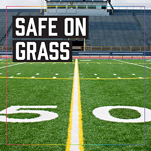 Seymour 20-644 Stripe Athletic Field Marker, White