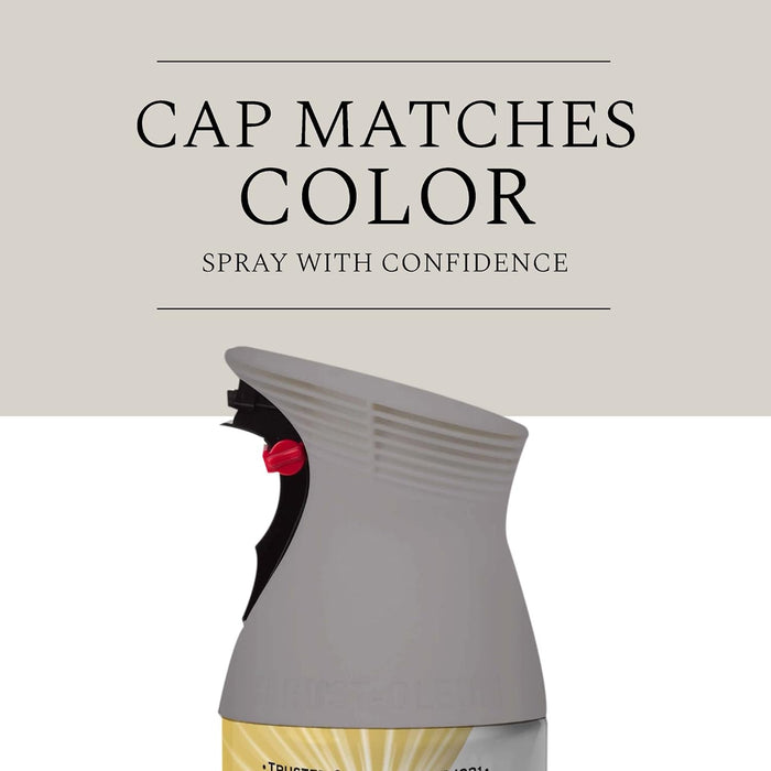 Rust-Oleum 376724 Universal All Surface Spray Paint, 12 oz, Matte Farmhouse Greige (Pack of 6)