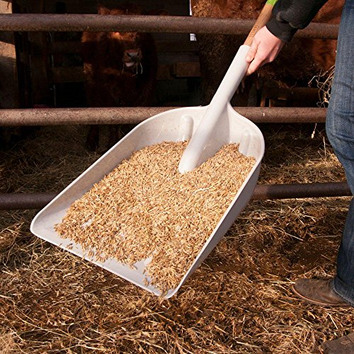 AMES 2682700 Poly Scoop with Hardwood Handle and D-Grip, 46-Inch, Brown
