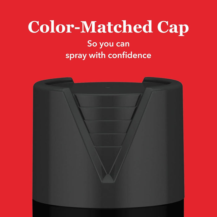 Krylon K05546007 COLORmaxx Spray Paint and Primer for Indoor/Outdoor Use, Flat Black, 12 Ounce (Pack of 1)