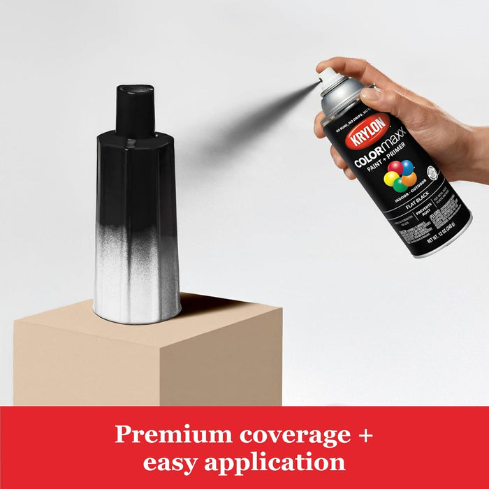 Krylon K05546007 COLORmaxx Spray Paint and Primer for Indoor/Outdoor Use, Flat Black, 12 Ounce (Pack of 1)