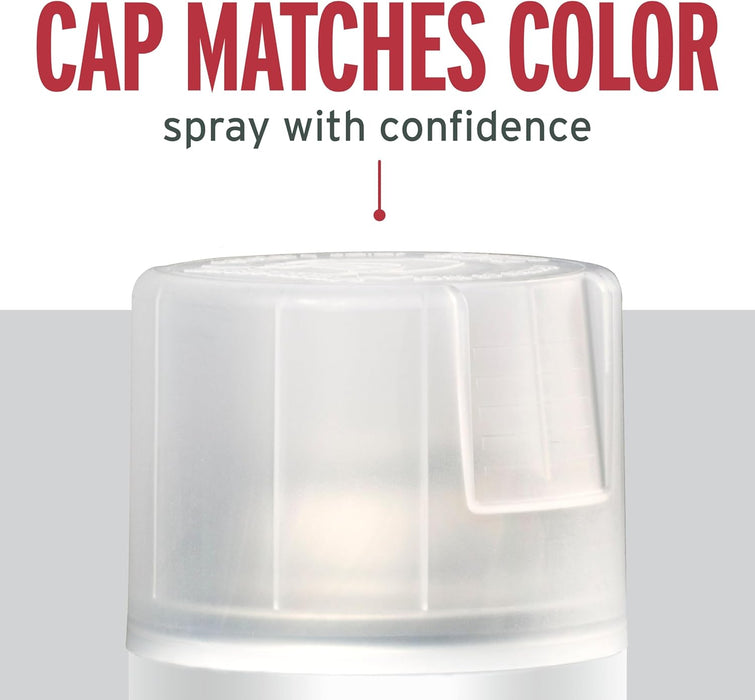 Rust-Oleum 285093 Stops Rust Spray Paint, Matte Clear, 12 Oz (Pack of 6)