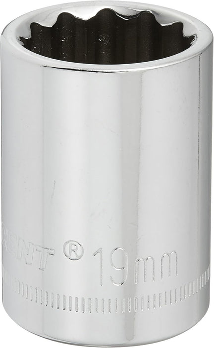 Crescent CDS79N 1/2" Drive 12 Point Standard Metric Socket 19mm (Pack of 1)