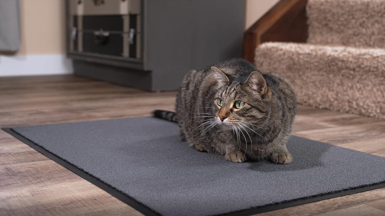Notrax 141S0023GY 141 Ovation Entrance Mat, for Home or Office, 2' X 3' Gray