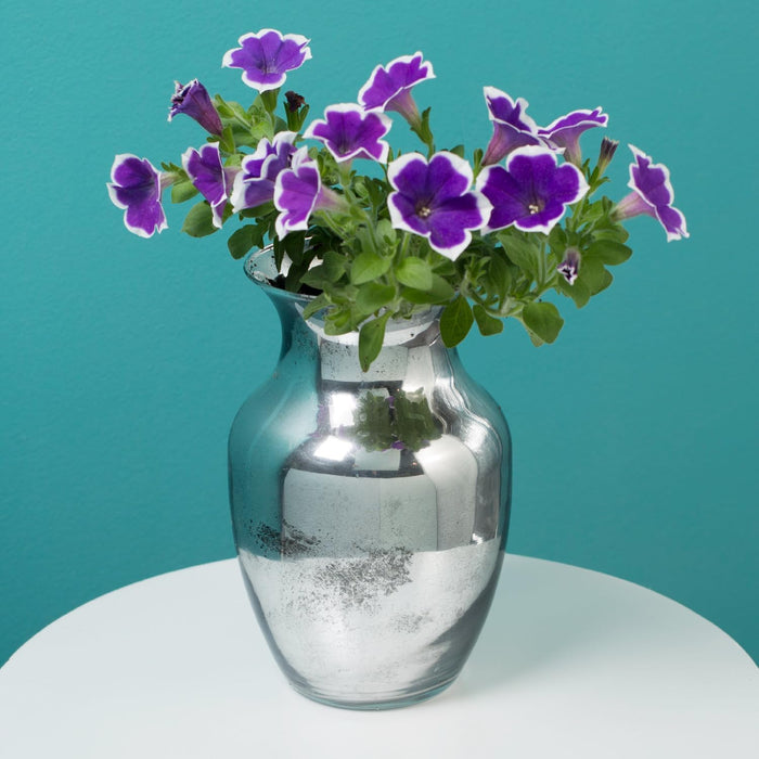 Rust-Oleum 301494 Specialty Mirror Spray, 6 Oz, Silver (Pack of 6)